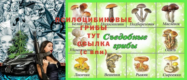 метамфетамин Богданович