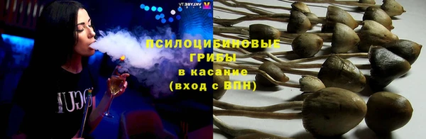 экстази Богородицк