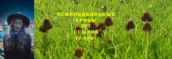 тгк Богородск