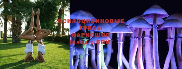 тгк Богородск