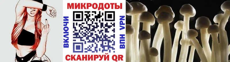 цена   Якутск  Галлюциногенные грибы мицелий 